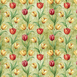 Tulip Wallpaper Image