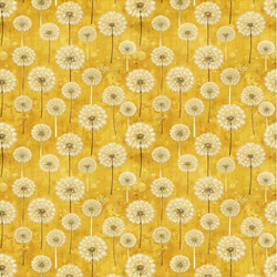 Dandelion Wallpaper Image