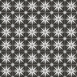White Star on Black Tile Image 1:12