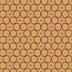 Hexagon Patterned Wood Flooring 