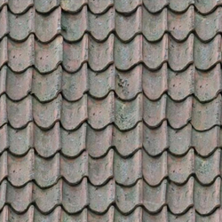 Damaged Roofing