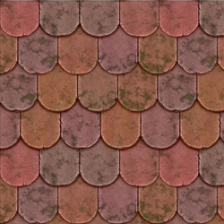 Shingle Roofing
