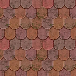 Shingle roofing